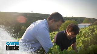COMING SOON! Ancient vines | Carte Blanche | M-Net