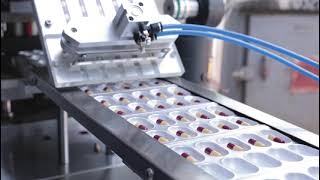 True Pack Machinery Alu Alu Packing Machine