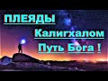 ✔ *ВАЖНО~СРОЧНО* «Плеяды - Калигхалом ~ Выразите себя Богом !»