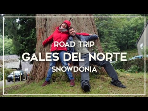 Video: Parque Nacional de Snowdonia: la guía completa