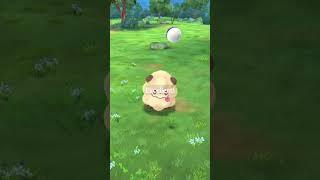 LETS GO Shiny Swirlix