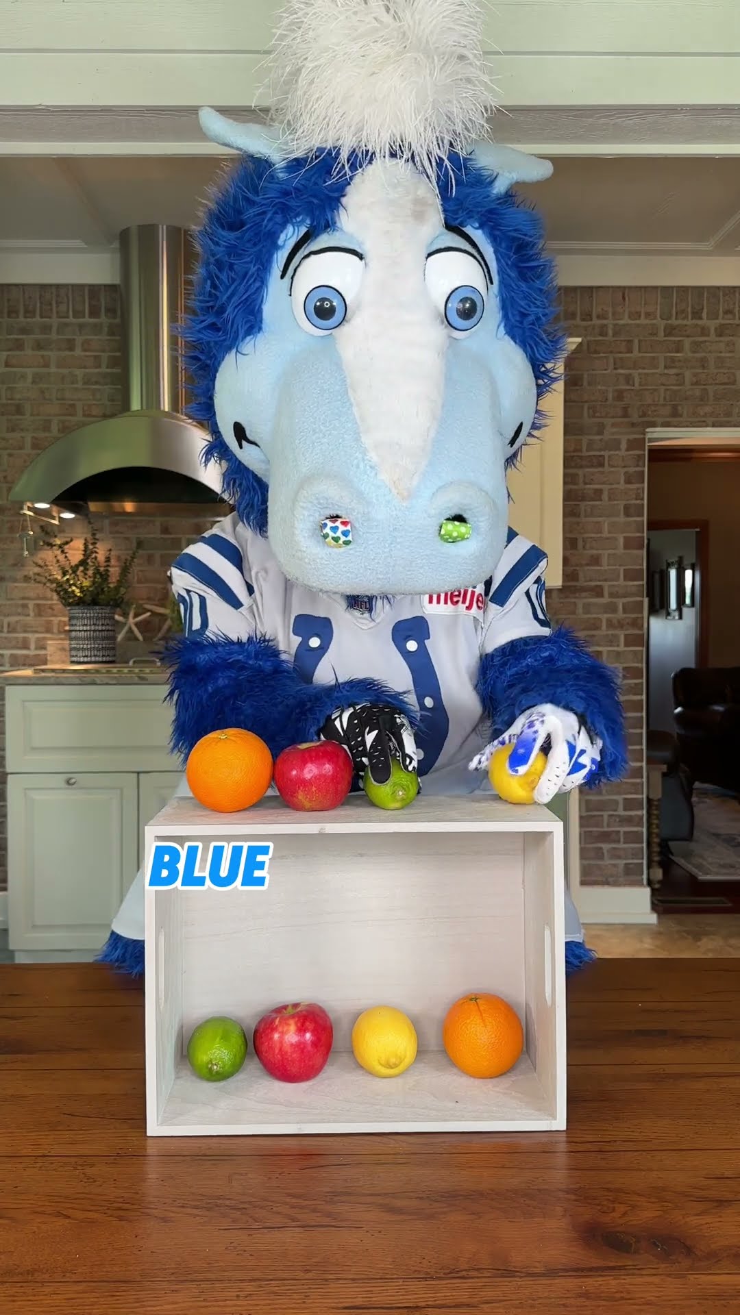 Can @BlueColtsMascot beat us in the Match Game?  #familygamechallenge #partygames #familyfun
