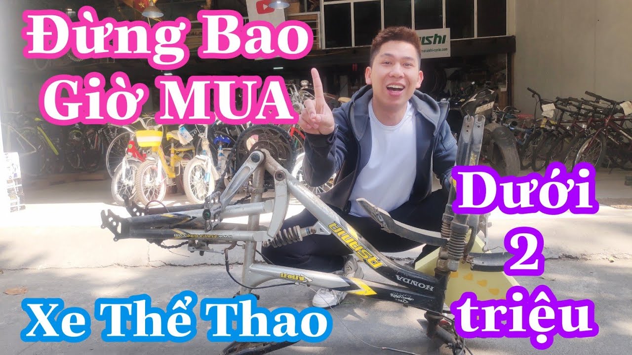 Top 5 mẫu xe đạp thể thao giá 3 triệu đáng mua nhất năm 2019