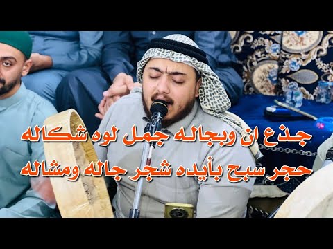 المداح مشتاق طالب جذع ان وبجاله جمل لوه شكاله