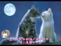 恋人たちの神話/テレサテン/唄:後藤ケイ♪