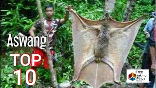 10 HAYOP NA MADALAS PAGKAMALANG ASWANG | Philippine Animals Commonly Mistaken As Ghouls and Demons screenshot 5