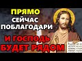 19 декабря ПРЯМО СЕЙЧАС СКАЖИ СПАСИБО ГОСПОДУ! Благодарственная молитва. Иисус Христос - православие