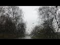 Bensound Better Days Relaxing Music Royalty Free Music 