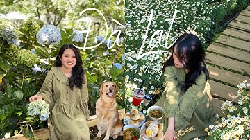 ĐÀ LẠT VLOG🌲| Mình quay lại Đà Lạt rồi nè! - Ep 2
