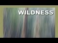  wildness  the path of wildness  softypapa adventures  walking in japan