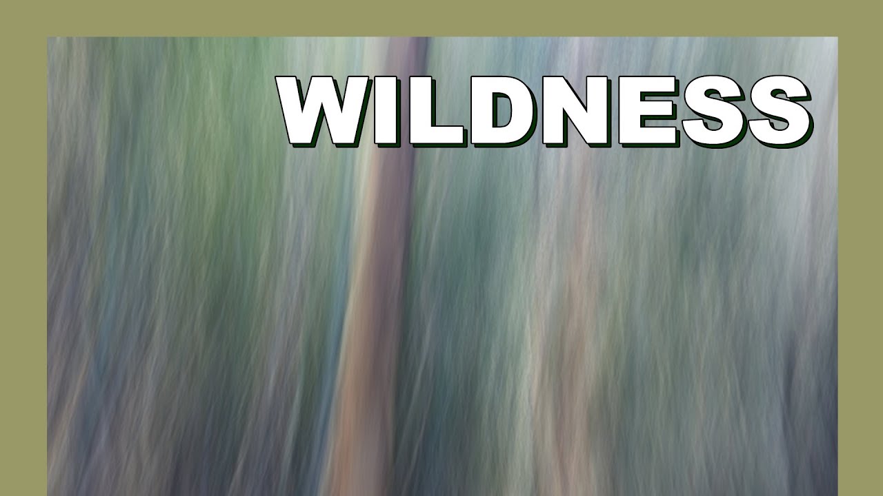 🚶‍♂️ Wildness - The Path of Wildness - Softypapa Adventures - Walking in Japan