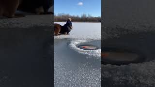 Download Lagu #shorts MP3