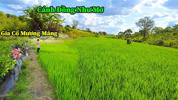 Công Đồng II Khởi Đầu Cho Một Vụ Mùa Bội Thu Và Cũng Là Động Lực Để Không Ngừng Mở Rộng