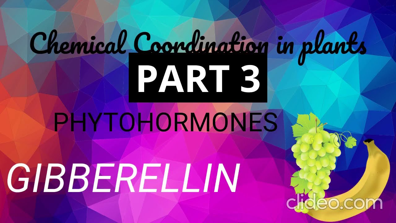Chemical coordination in plants PART 3