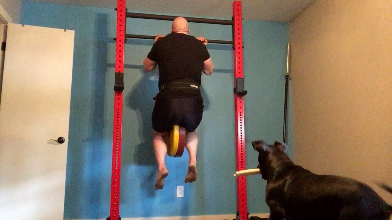 80 lbs chin up pupper doggo edition youtube good form pupper