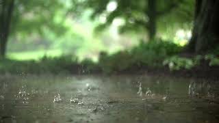 Sacred music -  Agnus Dei X (Kevin MacLeod)