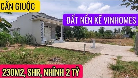 Đất Nền Đầu Tư Gần Vinhomes Phước Vĩnh Tây, QL50, 230m2, SHR, Có 3 Căn Nhà Cấp 4 Cho Đại Gia Đình