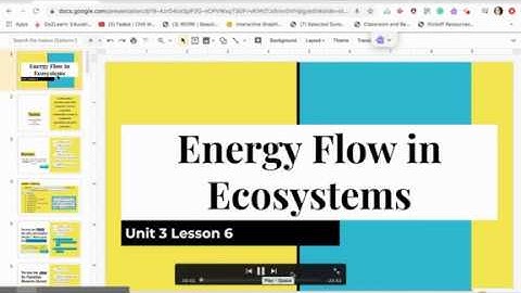 3.6 Energy Flow in Ecosystems Lecture Video Part 1