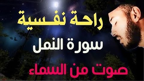 سورة النمل 🐜 القارئ بلال دربالي   راحة نفسية  وصوت من السماء