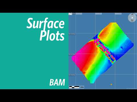 BAM - Surface Plots (Grids)