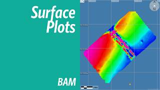 BAM - Surface Plots (Grids)