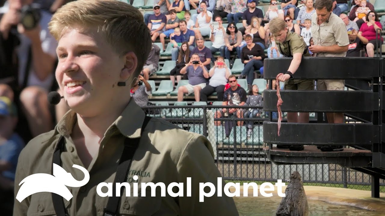 O melhor de Robert Irwin no zoológico | A Família Irwin | Animal Planet Brasil