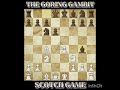 Beautiful Checkmate After a Shocking Queen Sacrifice!