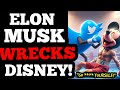 Elon Musk WRECKs Disney and Bob Iger after MUSK SUES! This is getting BIG!