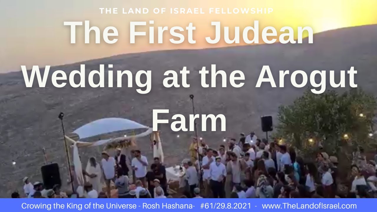 The First Judean Wedding at the Arugot Farm - Jeremy Gimpel: The Land of Israel Fellowship
