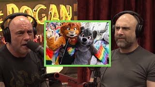 The hidden motive behind furry conventions|Joe rogan \& Kurt Metzger