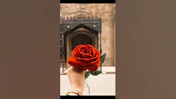 جذور اليمن صنعانيه صنعاء صنعاء القديمة Sana Yemen 