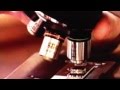 younGSounds "ヤングサウンズのDISCO" (Official Music Video)