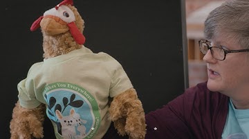 Kadena Library - Summer Reading Program 2018