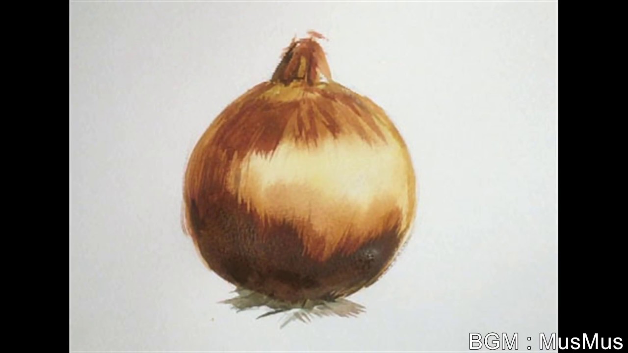 水彩画「玉ねぎ」 水彩画「玉ねぎ」