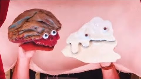 Puppet History - Scabs n’ Pus Instrumental