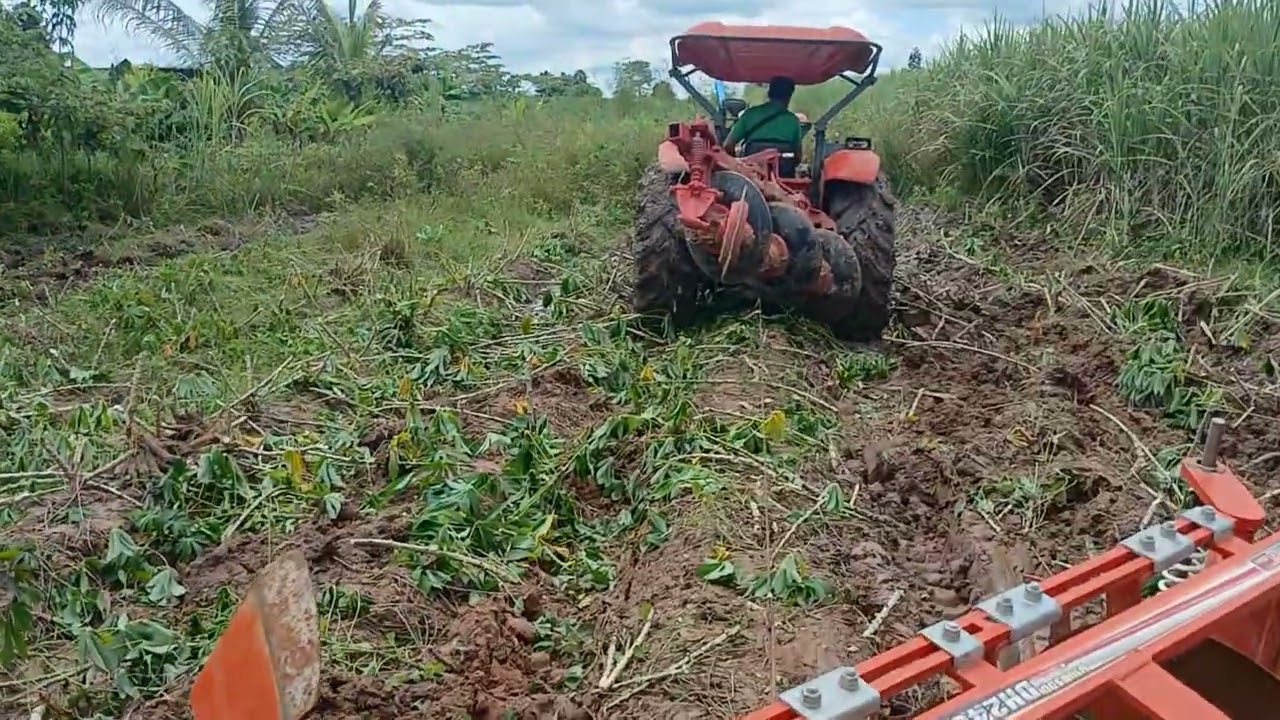 พ่อกับลูกทำอะไรอีก