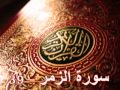 سورة الزمر - ناصر القطامي | Surah AL-Zumar - Nasser AL-Qatami