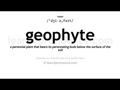 Video: Mmea wa geophyte ni nini?