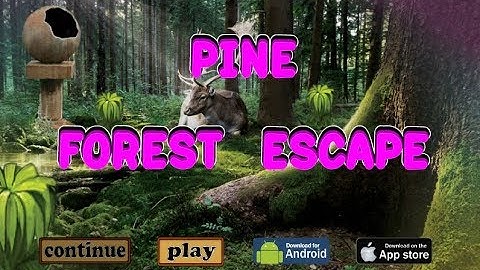 G2J Pine Forest Escape Walkthrough [Games2Jolly]