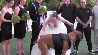 Ultimate Wedding Fail Video Compilation | Funny Fail Clips - WM