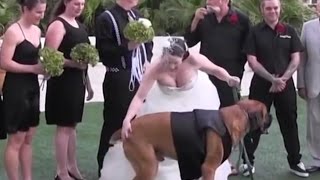 Ultimate Wedding Fail Video Compilation | Funny Fail Clips - WM by Watch Me 90,740 views 7 years ago 5 minutes, 26 seconds