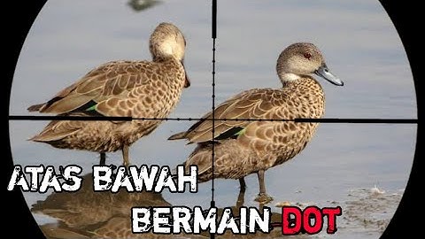 @JulakHunter02 berburu BELIBIS dengan aksi Long Range nya
