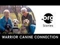 Warrior canine connection  org story