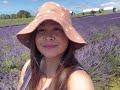 CCT Lavender Farm & Cafe Auckland New Zealand#nzyoutuber#ofw#pinayinauckland#dailyvlog#familyvlog