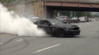 EPIC Burnout Shelby GT500 Super Snake  ⁄ ⁄ Diesel Truck Pulled Over  ⁄ ⁄ Sick Burnout Mustang Cobra