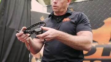 DT Systems Master Retriever 1100 Remote Electronic Dog Training Collar