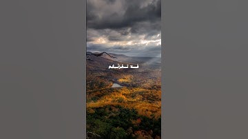 قرآن كريم تلاوة خاشعه تريح القلب #قران_كريم #اكسبلور