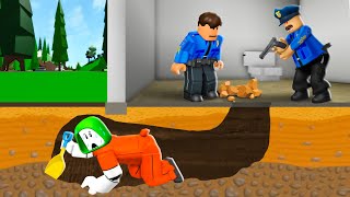 PRISON BREAK: Escape The Most Secure Prison | Maizen Roblox | ROBLOX Brookhaven RP  FUNNY MOMENTS