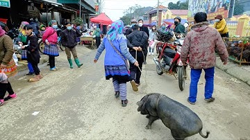 Đi Khám Phá Chợ Phiên Bán Toàn Đặc Sản Núi Rừng | Miền núi tây bắc