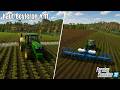 Replanting Sunflowers! + Rolling & Weed Control | FS22 Haut-Beyleron Start From Scratch Ep.11